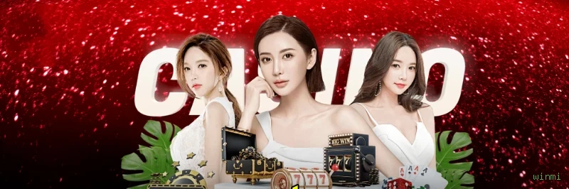 Login seguro na winmi